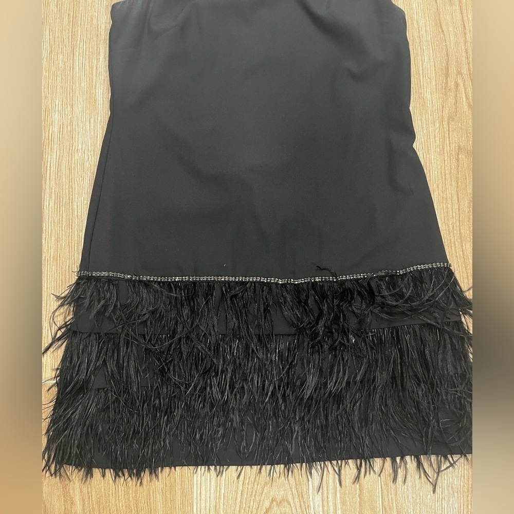 Alex Marie Black Feather & Rhinestone Dress - Picture 4 of 6